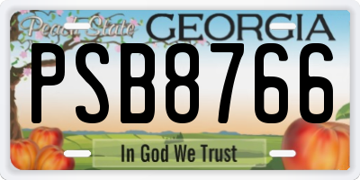 GA license plate PSB8766