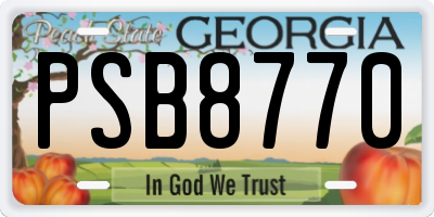 GA license plate PSB8770