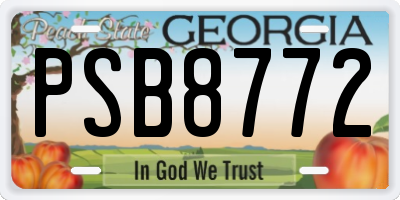 GA license plate PSB8772