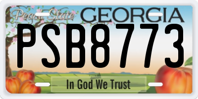 GA license plate PSB8773
