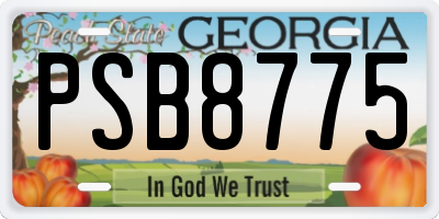 GA license plate PSB8775
