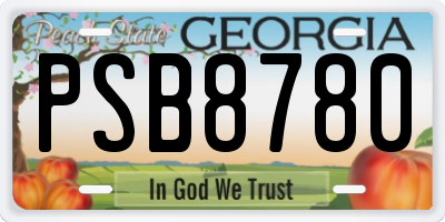 GA license plate PSB8780