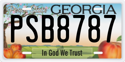 GA license plate PSB8787