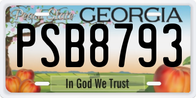 GA license plate PSB8793