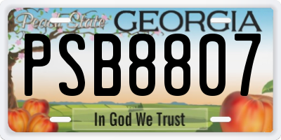 GA license plate PSB8807