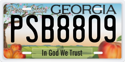 GA license plate PSB8809