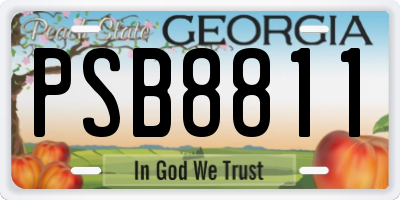 GA license plate PSB8811