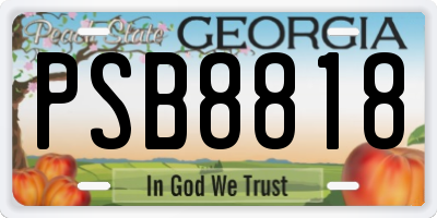 GA license plate PSB8818