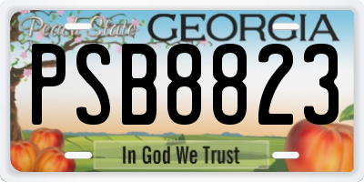 GA license plate PSB8823