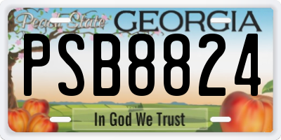 GA license plate PSB8824