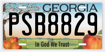 GA license plate PSB8829