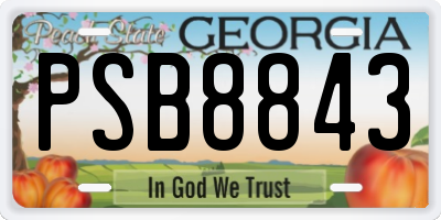 GA license plate PSB8843