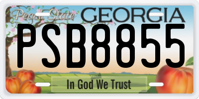 GA license plate PSB8855