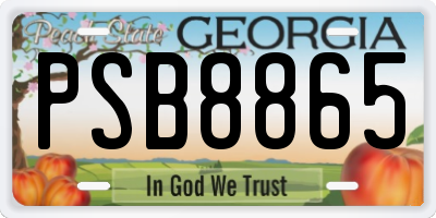 GA license plate PSB8865