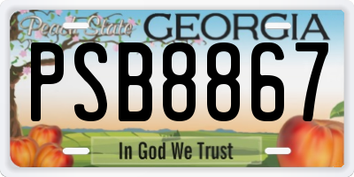 GA license plate PSB8867