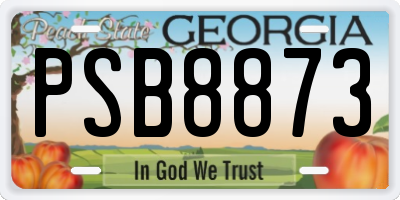GA license plate PSB8873