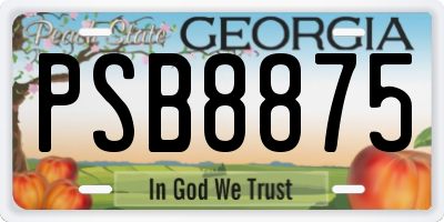 GA license plate PSB8875