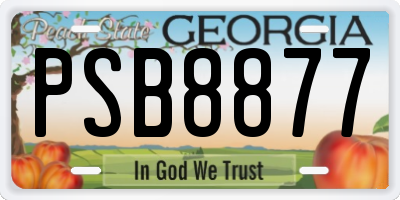 GA license plate PSB8877