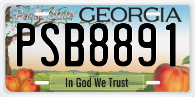 GA license plate PSB8891