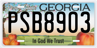 GA license plate PSB8903