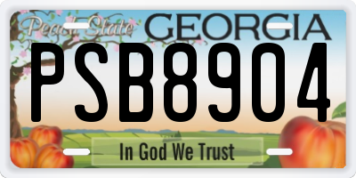 GA license plate PSB8904