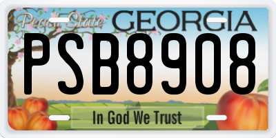 GA license plate PSB8908