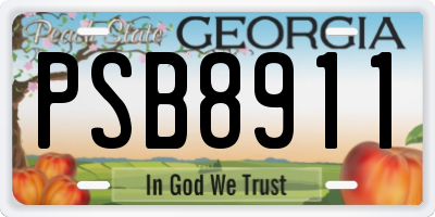 GA license plate PSB8911