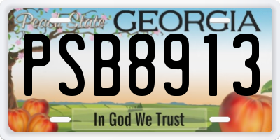 GA license plate PSB8913