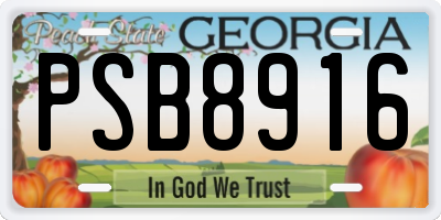 GA license plate PSB8916