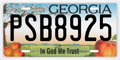 GA license plate PSB8925