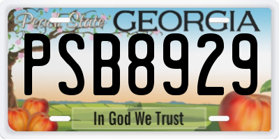 GA license plate PSB8929