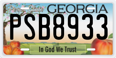 GA license plate PSB8933