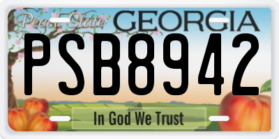 GA license plate PSB8942