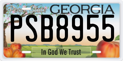GA license plate PSB8955