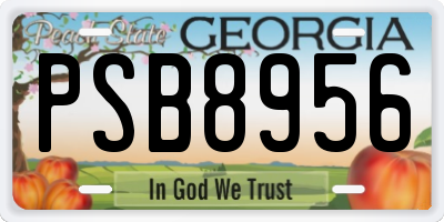 GA license plate PSB8956