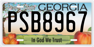 GA license plate PSB8967