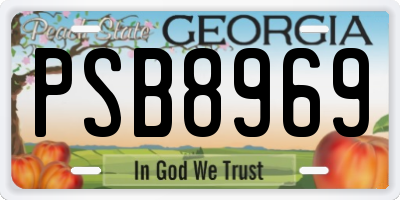 GA license plate PSB8969