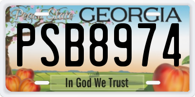 GA license plate PSB8974