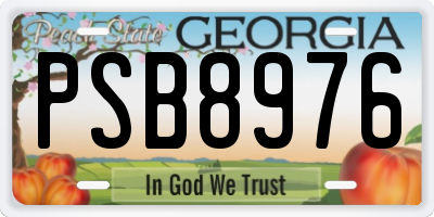 GA license plate PSB8976