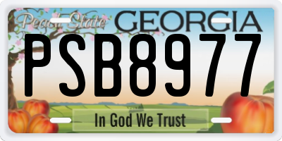 GA license plate PSB8977