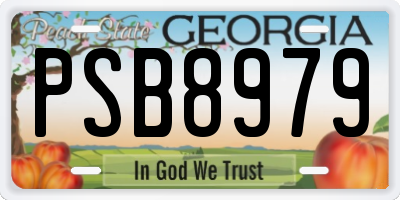 GA license plate PSB8979