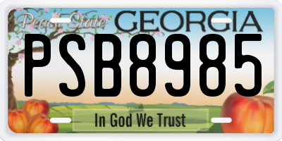GA license plate PSB8985