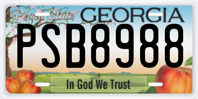 GA license plate PSB8988