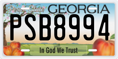 GA license plate PSB8994