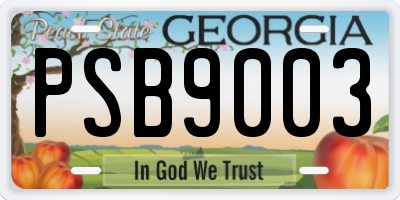 GA license plate PSB9003