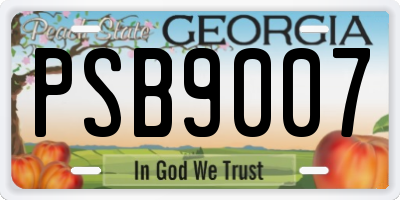 GA license plate PSB9007
