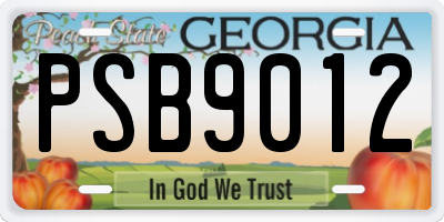 GA license plate PSB9012