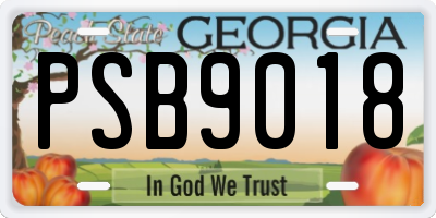 GA license plate PSB9018