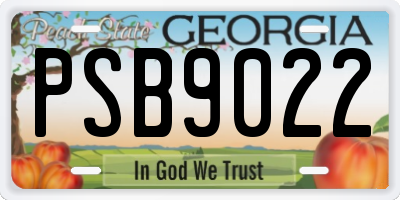 GA license plate PSB9022
