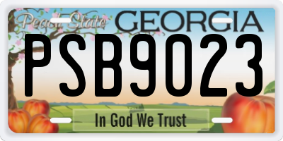 GA license plate PSB9023